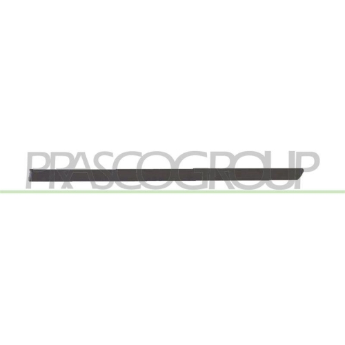 PRASCO Zier-/Schutzleiste, T&uuml;r VG0341454