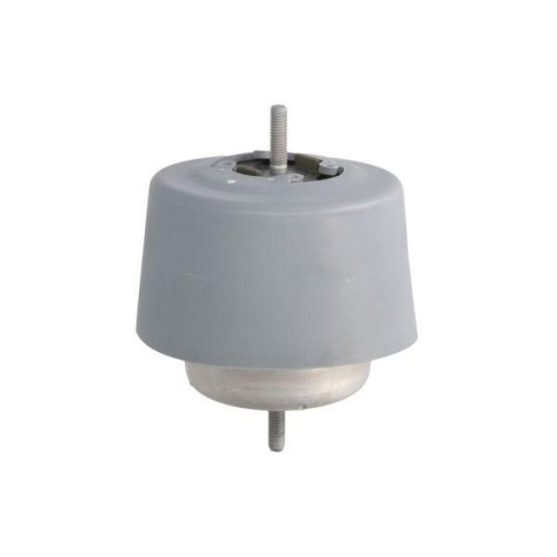REINHOCH Lagerung, Motor RH11-0037