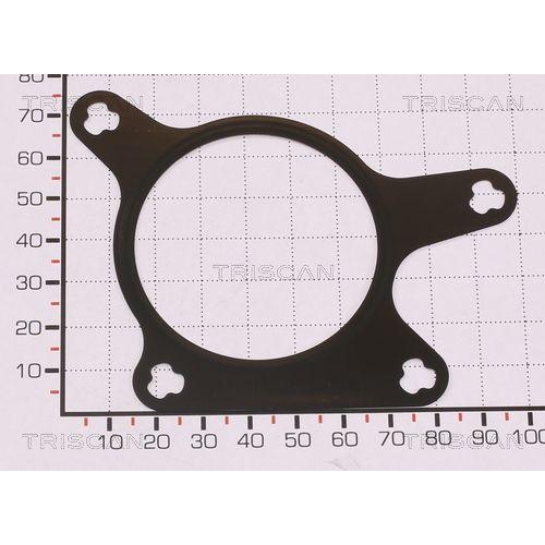 TRISCAN Dichtung 8813 99183