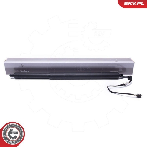 ESEN SKV Elektromotor, Heckklappe 52SKV967