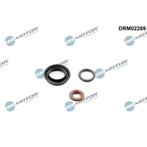 Dr.Motor Automotive Dichtungssatz, Einspritzd&uuml;se DRM02289