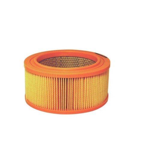 FILTRON Luftfilter AR 247/1