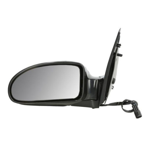 BLIC Au&szlig;enspiegel 5402-04-1139399P