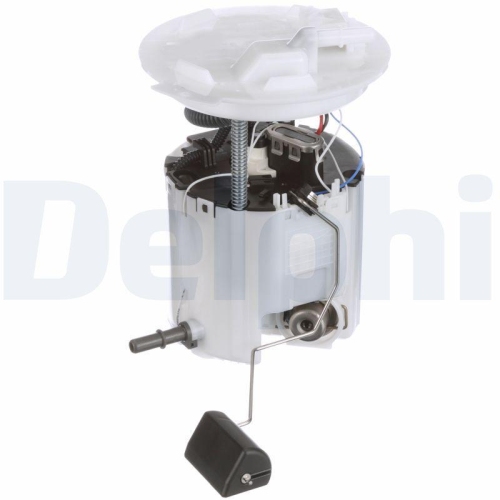 DELPHI Schlingertopf, Kraftstoffpumpe FG2074-12B1