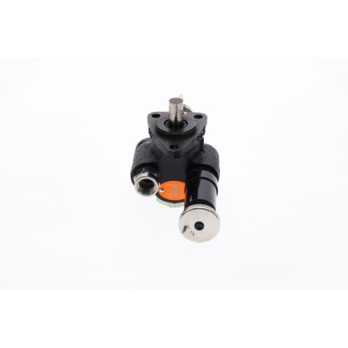 BOSCH Kraftstoffpumpe F 002 A50 040