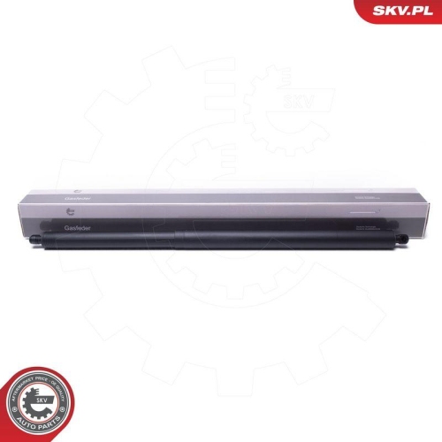 ESEN SKV Elektromotor, Heckklappe 52SKV971