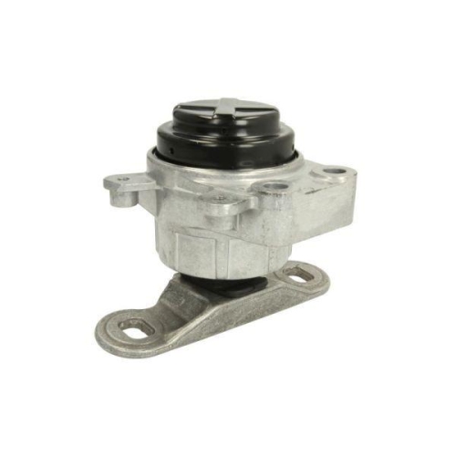 REINHOCH Lagerung, Motor RH11-4039