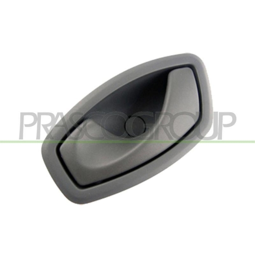 PRASCO T&uuml;rgriff, Innenausstattung RN0868602