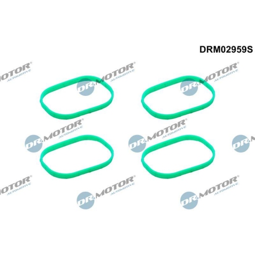 Dr.Motor Automotive Dichtungssatz, Ansaugkr&uuml;mmer DRM02959S