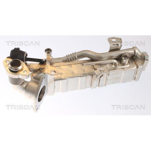 TRISCAN K&uuml;hler, Abgasr&uuml;ckf&uuml;hrung 8813 11022