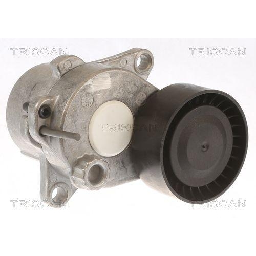 TRISCAN Riemenspanner, Keilrippenriemen 8641 101010