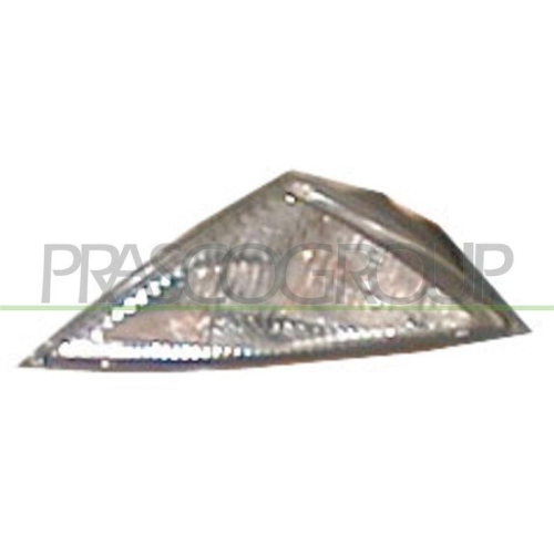 PRASCO Lichtscheibe, Blinkleuchte LA0014124