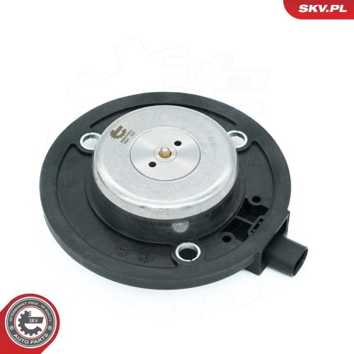 ESEN SKV Zentralmagnet, Nockenwellenverstellung 39SKV900