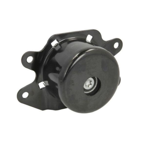 REINHOCH Lagerung, Motor RH11-5035