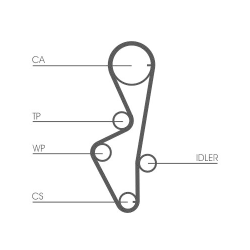 CONTINENTAL CTAM Zahnriemen CT916