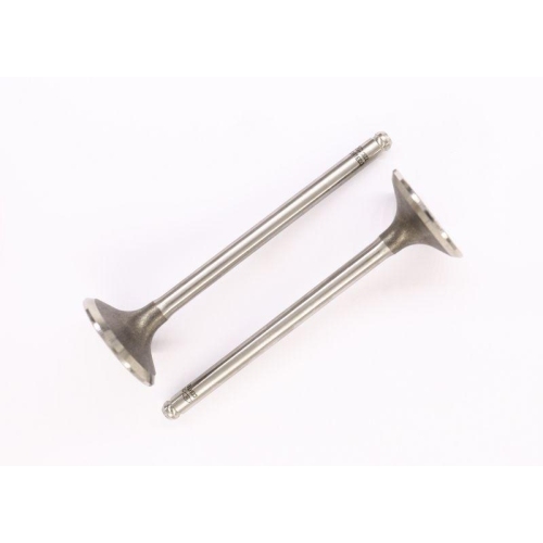 CORTECO Einlassventil 551241B