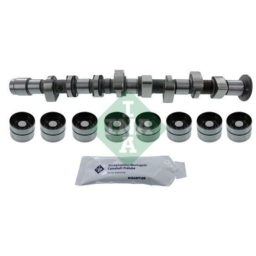 Schaeffler INA Nockenwellensatz 428 0051 30