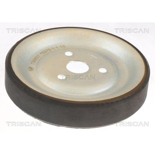 TRISCAN Umlenk-/F&uuml;hrungsrolle, Keilrippenriemen 8646 10233