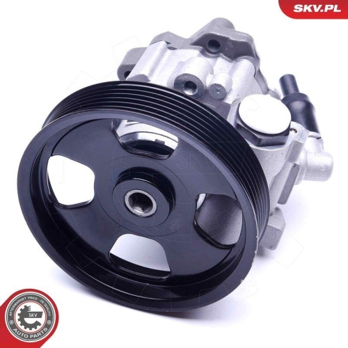 ESEN SKV Hydraulikpumpe, Lenkung 10SKV241