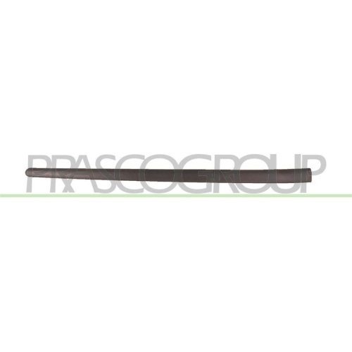 PRASCO Zier-/Schutzleiste, T&uuml;r VG0361403