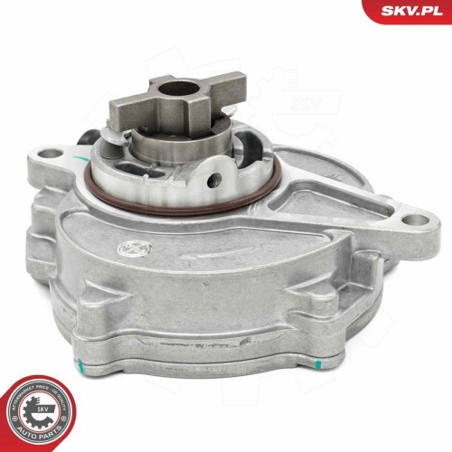 ESEN SKV Unterdruckpumpe, Bremsanlage 18SKV075