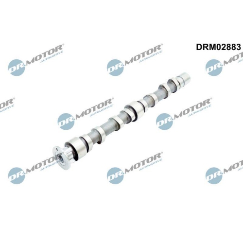 Dr.Motor Automotive Nockenwelle DRM02883