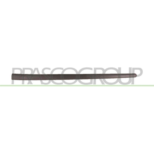 PRASCO Zier-/Schutzleiste, T&uuml;r VG0361404