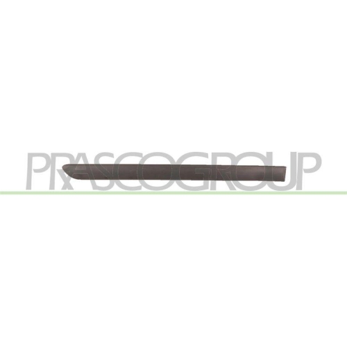 PRASCO Zier-/Schutzleiste, T&uuml;r VG0361453