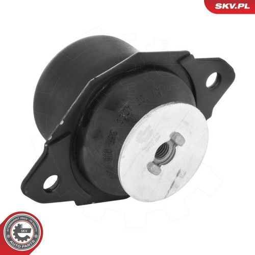 ESEN SKV Lagerung, Motor 75SKV115