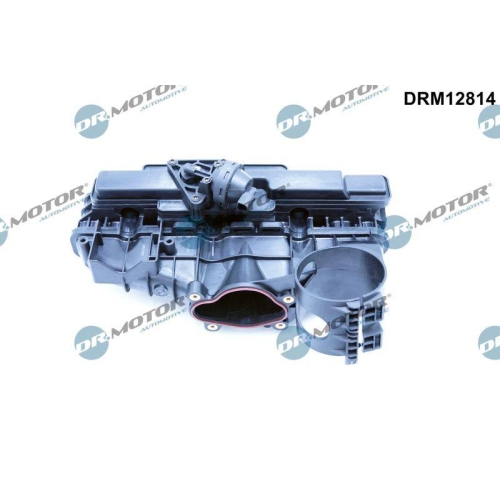 Dr.Motor Automotive Saugrohrmodul DRM12814