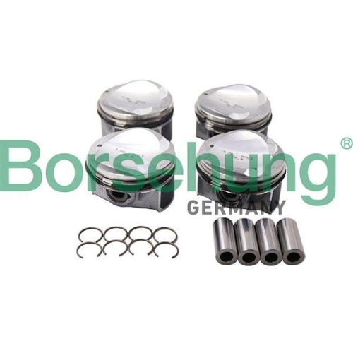 Borsehung Kolben B13584