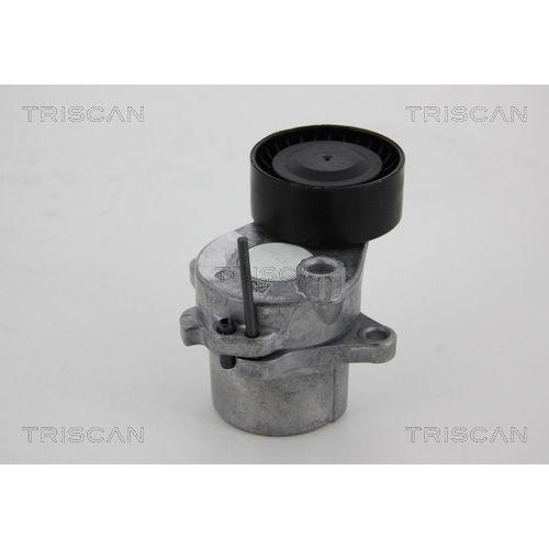 TRISCAN Riemenspanner, Keilrippenriemen 8641 231024