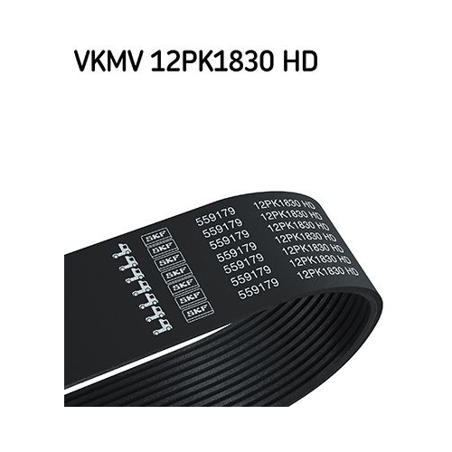 SKF Keilrippenriemen VKMV 12PK1830 HD