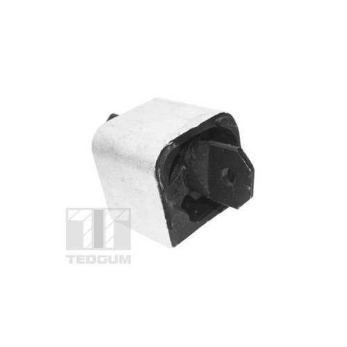 TEDGUM Lagerung, Motor