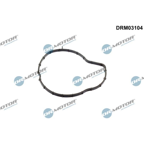 Dr.Motor Automotive Dichtung, Wasserpumpe DRM03104