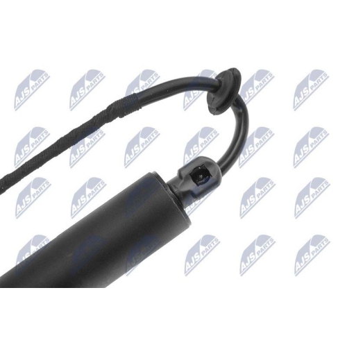 NTY Elektromotor, Heckklappe AE-PS-003