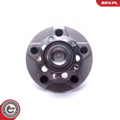 ESEN SKV Radlagersatz 29SKV313