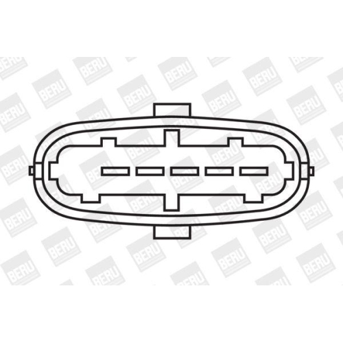 BorgWarner (BERU) Zündspule ZS359