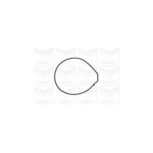 GRAF Wasserpumpe, Motork&uuml;hlung PA884