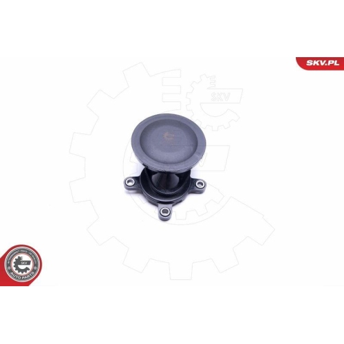 ESEN SKV Ventil, Kurbelgehäuseentlüftung