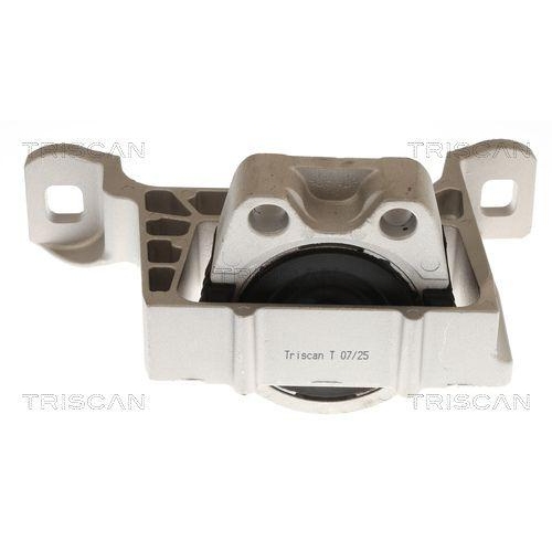 TRISCAN Lagerung, Motor 8505 10104