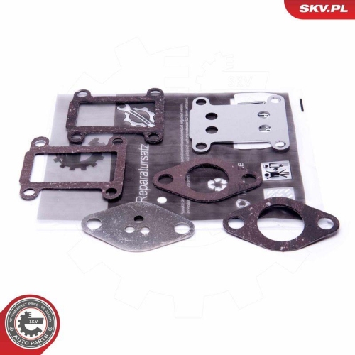 ESEN SKV Reparatursatz, AGR-Ventil 14SKV528