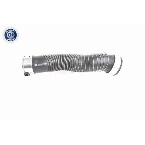 VAICO Ladeluftschlauch Q+, Erstausrüsterqualität V20-3251