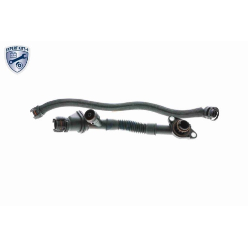 VAICO Kühlerschlauch EXPERT KITS + V20-3291