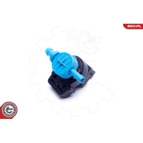 ESEN SKV Ventil, Aktivkohlefilter