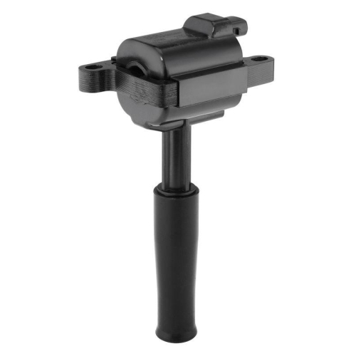 BorgWarner (BERU) Z&uuml;ndspule ZS583