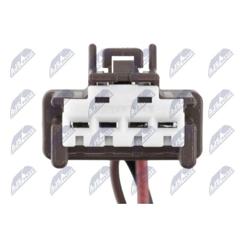 NTY Gasfeder, Koffer-/Laderaum AE-RE-074