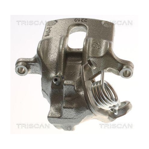 TRISCAN Bremssattel 8175 15210