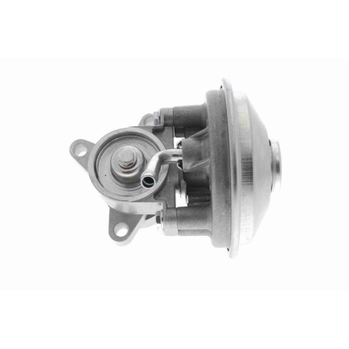 VAICO Unterdruckpumpe, Bremsanlage Original VAICO Qualit&auml;t V25-1905