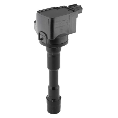 BorgWarner (BERU) Z&uuml;ndspule ZSE291